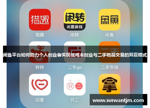 闲鱼平台如何助力个人创业者实现低成本创业与二手物品交易的双赢模式